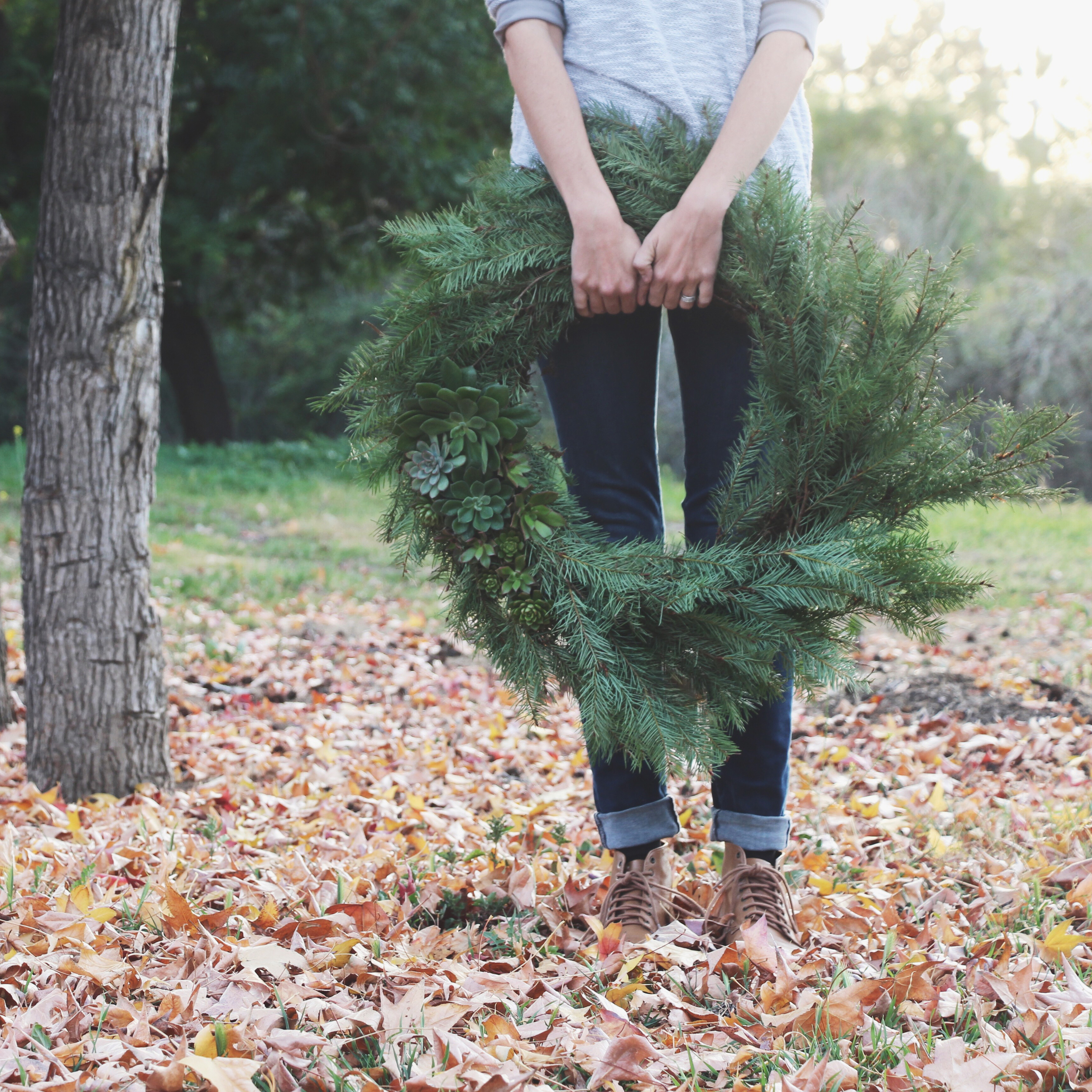 DIY Living Christmas Wreath with Succulents